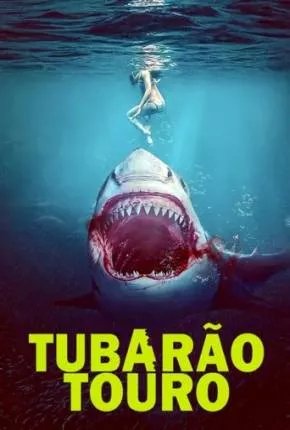 Tubarão-Touro